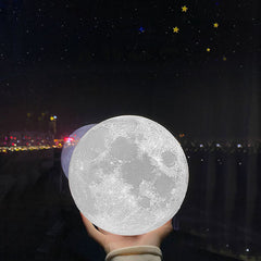 Moon Night