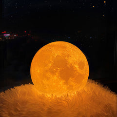 Moon Night